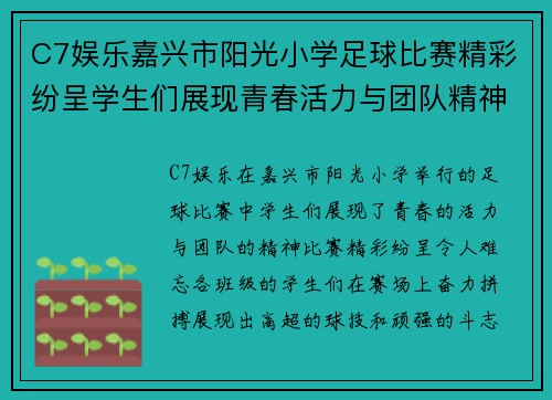 C7娱乐嘉兴市阳光小学足球比赛精彩纷呈学生们展现青春活力与团队精神